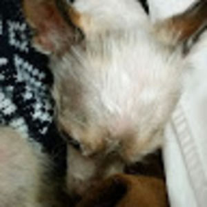 Meet your Posher, Mary